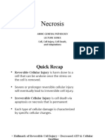 Necrosis: Anmc General Pathology Lecture Series Cell, Cell Injury, Cell Death, and Adaptations