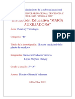 Institución Educativa "MARÍA Auxiliadora": Año Del Fortalecimiento de La Soberanía Nacional