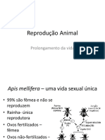 Reprodução Animal: Prolongamento Da Vida