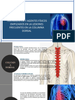 Columna Dorsal