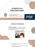 Audiencias Preliminares: Martha Consuelo Vásquez Rangel. Docente: Procesal Penal. Universidad Militar Nueva Granada