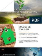 Gestão Ambiental E Subprodutos Agroindustriais: Prof Mônica Lopes Eeep Darcy Ribeiro Agroindústria