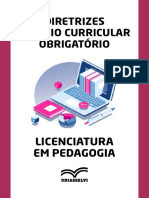 Diretrizes Estágio Curricular Obrigatório: Licenciatura em Pedagogia