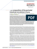 Microbiota Perinatal Caballos