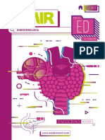 Endocrinología 14ta Ed 2