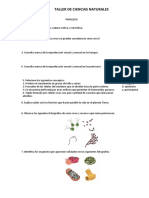 Taller de Ciencias Naturales