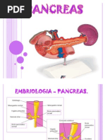 Pancreas