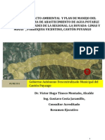 Resumen Ejecutivo Del Proyecto "SISTEMA DE ABASTECIMIENTO DE AGUA POTABLE PARA LAS COMUNIDADES DE LA REGIONAL LA HOYADA - LIMAS, PARROQUIA VICENTINO, CANTÓN PUYANGO"