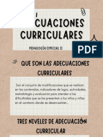 Adecuaciones Curriculares