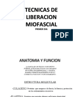 Liberacion MIO