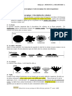 TP N 3 Microbiologie