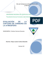 Evaluación de Captura de Carbono