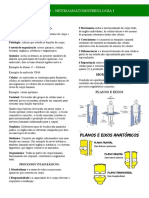 Resumo Neuroanatomo I