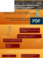 Medios de Impugnacion Materia Electoral