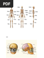 Dibujos de Los Sistemas