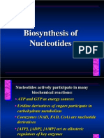 Biosynthesis of Nucleotides