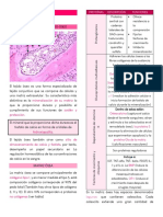 Histología - Tejido Óseo