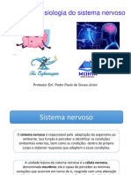 Anatomia e Fisiologia Do Sistema Nervoso: Professor Enf. Pedro Paulo de Sousa Júnior