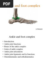 Ankle Joint