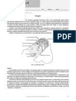 BIO12 - NL1 - (Teste1) - Out.2022 - Grupoi e II