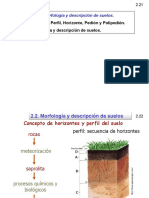 SUELO 2.2. Morfología y Descripción de Suelos