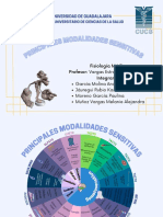 INC IPA Les M Odalidades Sen Sitiv AS