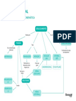 Mapa Mental: Introdução À Cinemática