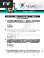 Ses1 6-3-23 GAG - Práctica Habeas Corpus HC