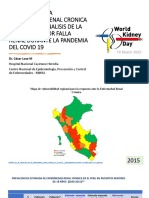 Situacion de La Enferemedad Renal Cronica en El Peru 2020 2021