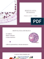 Histologia Humana - Tecido Epitelial