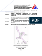 Informe Ancon