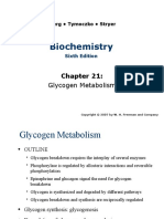 Biochemistry: Glycogen Metabolism