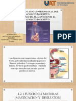 Unidad I Anatomofisiologia Del Aparato Digestivo 1.2 Paso de Alimentos Por El Aparato Digestivo