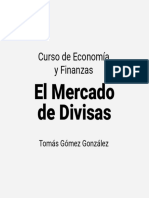 Slides Mercado de Divisas