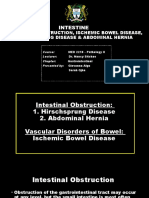 Intestinal Obstruction