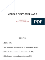 Atresie de L'Oesophage: DR Cyprien ZARE Maitre Assistant INSSA/UPB