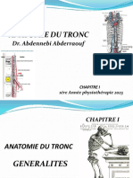 Anatomie Du Tronc Chapitre 1 20223