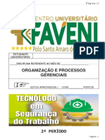 3 Organização e Processos Gerenciais