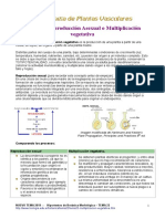 Crecimiento y Multiplicación Vegetativa-Páginas-1-10