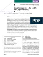 Status Epilepticus in Dogs and Cats Part 1