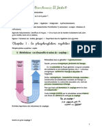 Synthèse Sur Les Réactions de Phospho-Oxydation