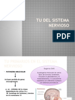 TU Del Sistema Nervioso Definitivas