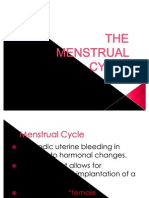 Menstrual Cycle