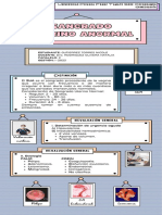 Infografía de Sua