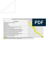 Cronograma de Actividades Del Depart Amen To de Public Id Ad