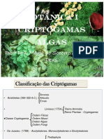 Botânica I Criptógamas Algas: Prof Dra. Maria Do Socorro Meireles de Deus