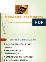 Teoria Geral Dos Recursos