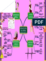 Mapa Mentar Farmacologia Cardiovascular