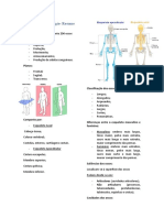 Osteologia e Artrologia PPT 1