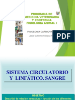 Sistema - Circulatorio (1) 122